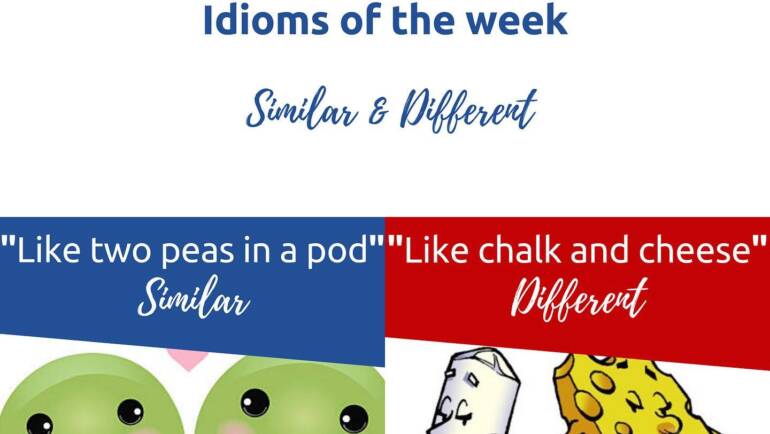 idioms of the Week – Similar and different